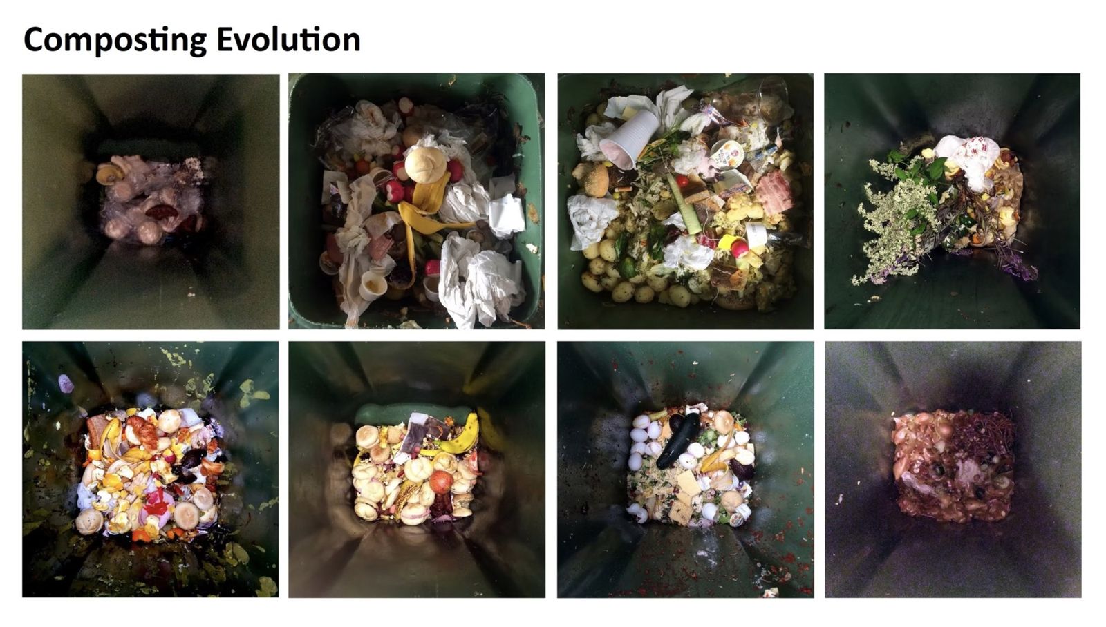 Composting Evolution: eight photos of the compost bin over the course of the festival
